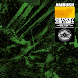 Ambush