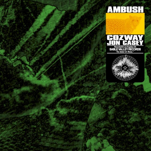 Ambush