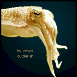 Cuttlefish