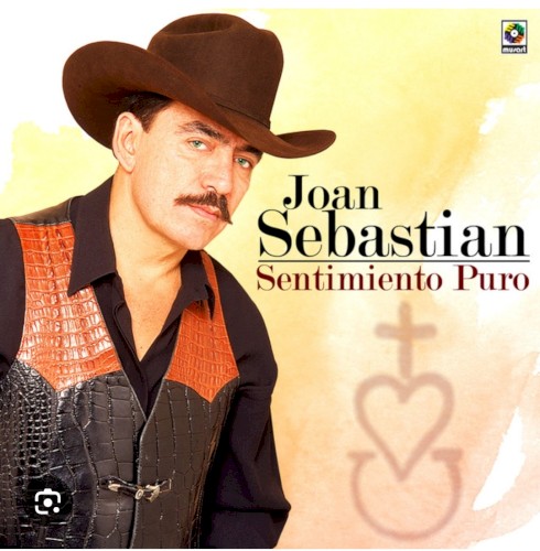 Sentimiento puro