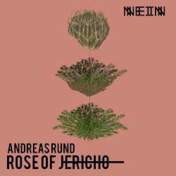 Rose of Jericho