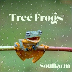 Tree Frogs