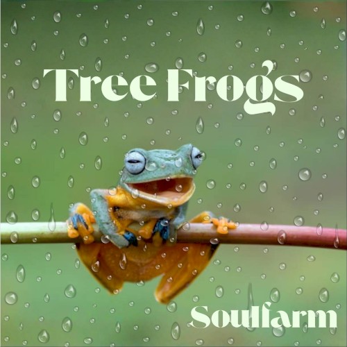 Tree Frogs