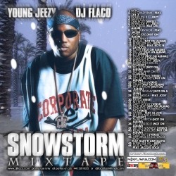 Snowstorm