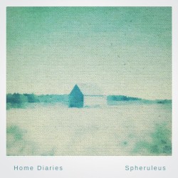 Home Diaries 006