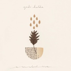 A Sun‐Coloured Shaker