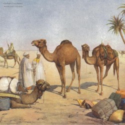 Arabische Nächte