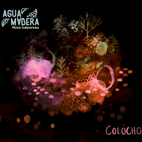 Colocho