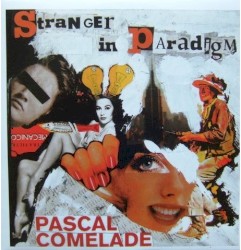 Stranger In Paradigm
