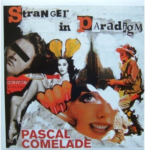 Stranger In Paradigm