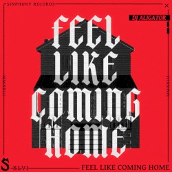 Feel Like Coming Home