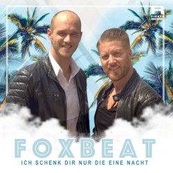 Ich schenk dir nur eine Nacht