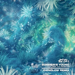 Summer's Young (Ownglow remix)