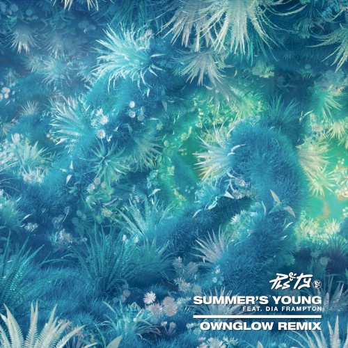 Summer's Young (Ownglow remix)