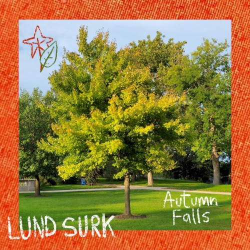 Autumn Falls