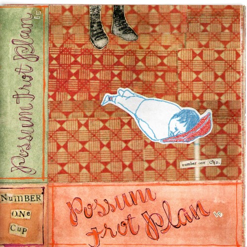 Possum Trot Plan