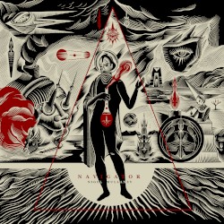 The Navigator