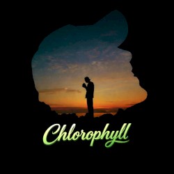 Chlorophyll