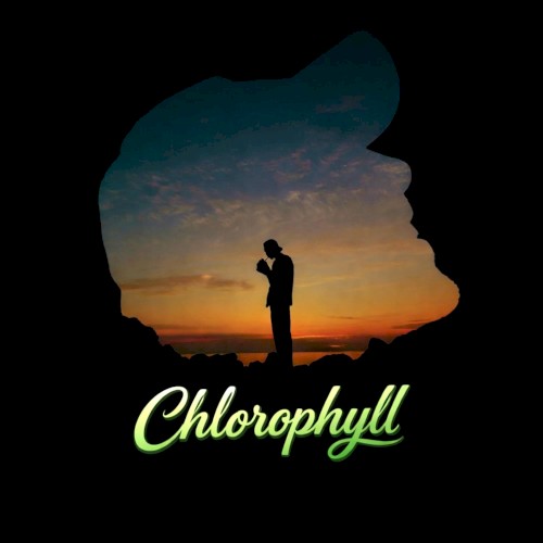 Chlorophyll