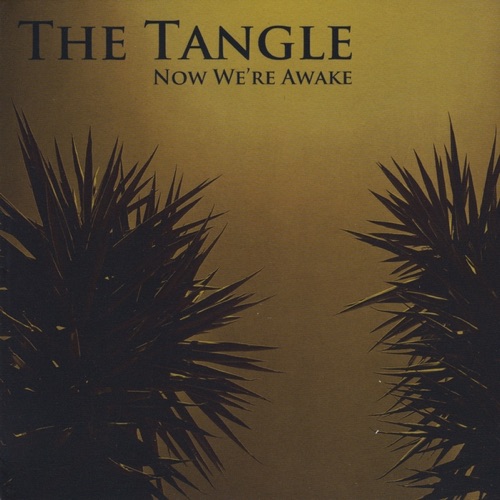 Now We’re Awake