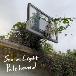 See a Light