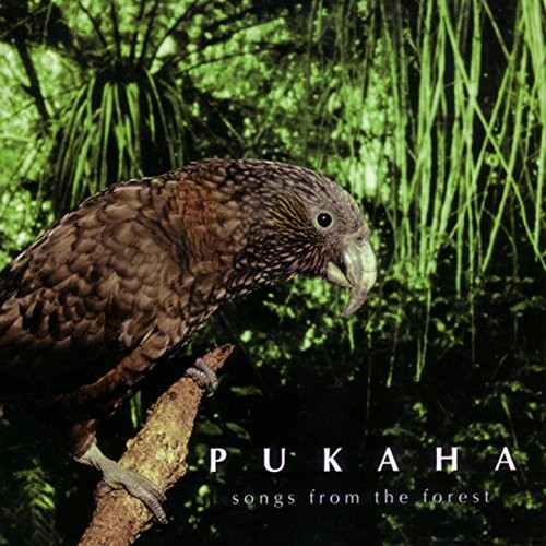 Pūkaha: Songs from the forest