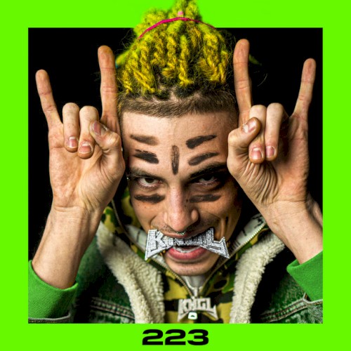 223