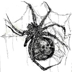recluse