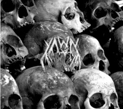 Death Becomes Life
