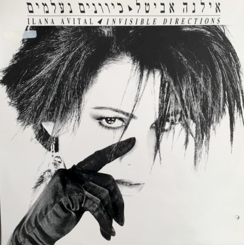 כיוונים נעלמים