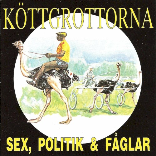 Sex, politik & fåglar
