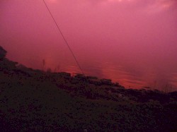 Someone[1]