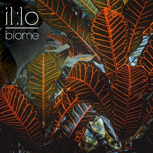 Biome