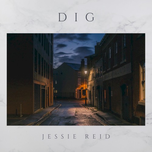 Dig
