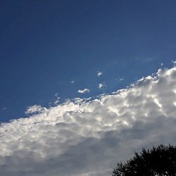 Untitled VII