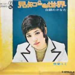 見知らぬ世界