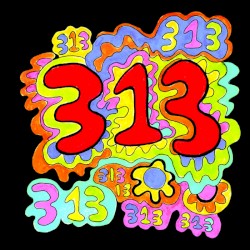 313