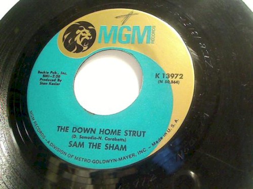 The Down Home Strut / I Couldn't Spell !!*@!