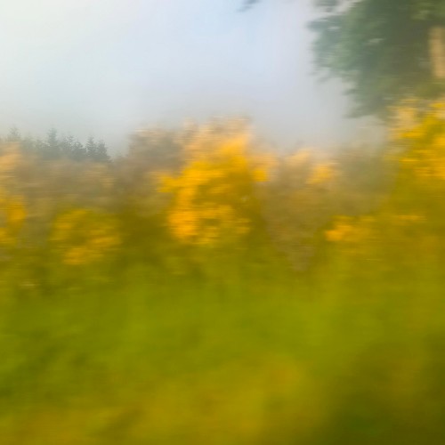 summer 24 bootleg tapes