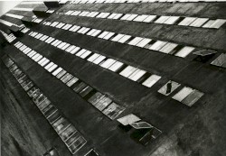 Rodchenko Zazpi, Zortzi eta Bederatzi