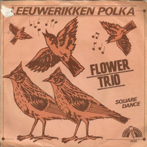 Leeuwerikken polka / Square Dance
