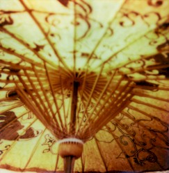Parasol / Rabbit