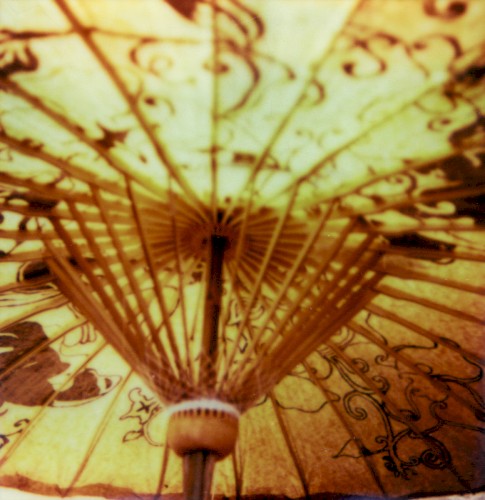 Parasol / Rabbit