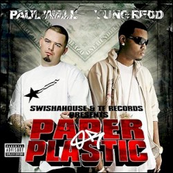 Paper or Plastic