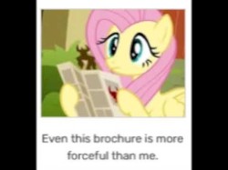 Flutterwonder (immortal mix)