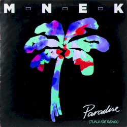 Paradise (Tunji Ige remix)