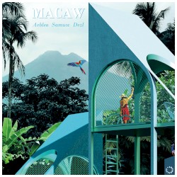 Macaw