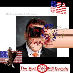 2.1: The North american Manbaby Center