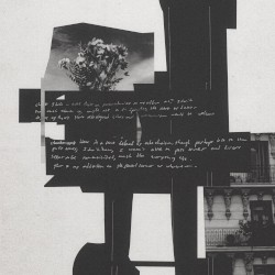 Romanticizing the Ordinary / Butterfly Effect