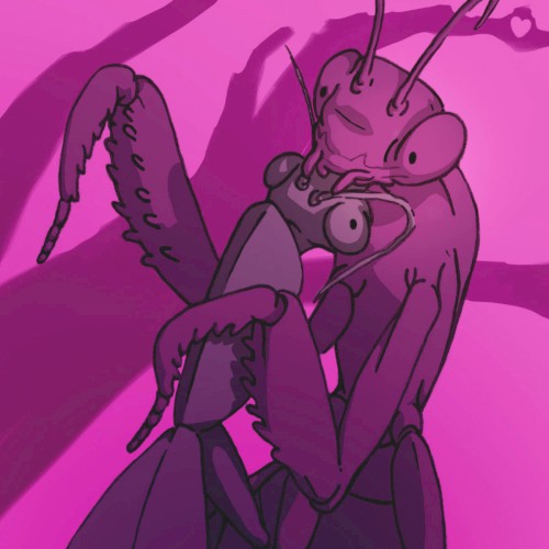 mantis (t0uchet gl1tch ed1t)